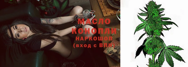 индика Волоколамск