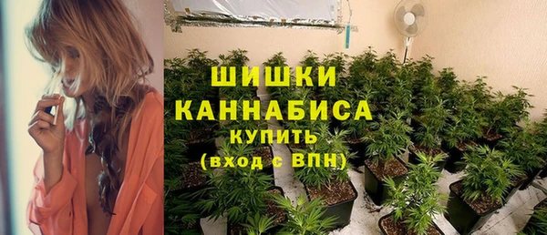 бошки Вяземский