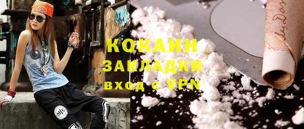 индика Волоколамск