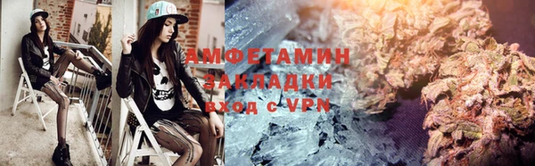 индика Волоколамск