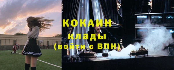 индика Волоколамск