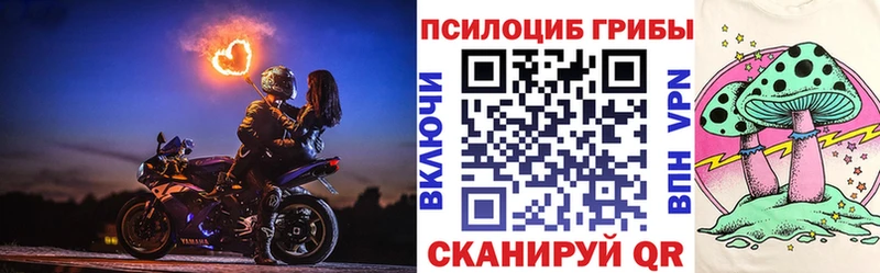 хочу   Дальнереченск  Галлюциногенные грибы Psilocybe 