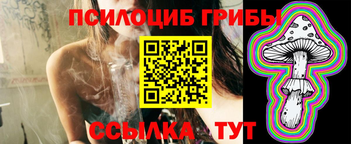 Псилоцибиновые грибы MAGIC MUSHROOMS  Вход с VPN  Дальнереченск 