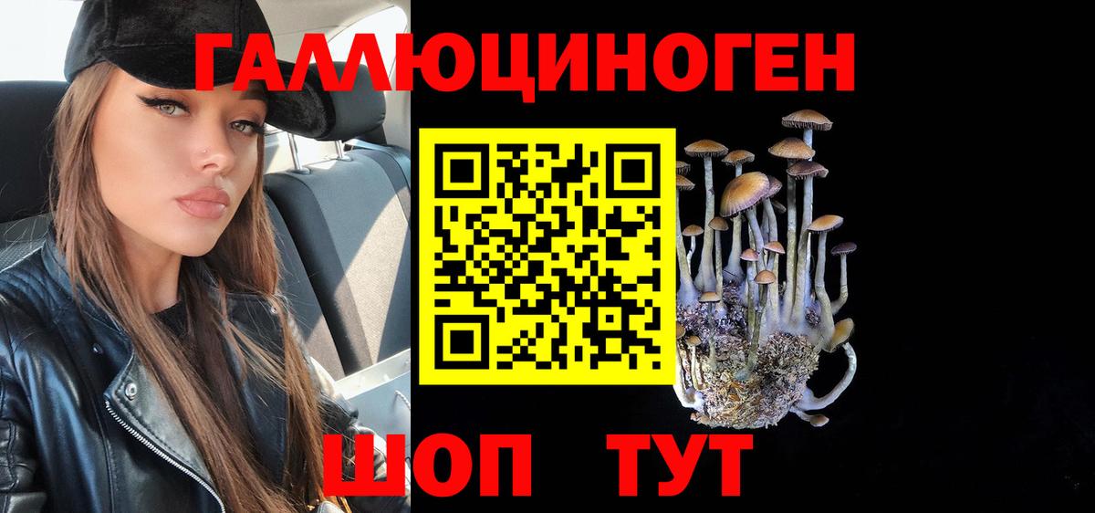 Псилоцибиновые грибы мицелий Дальнереченск